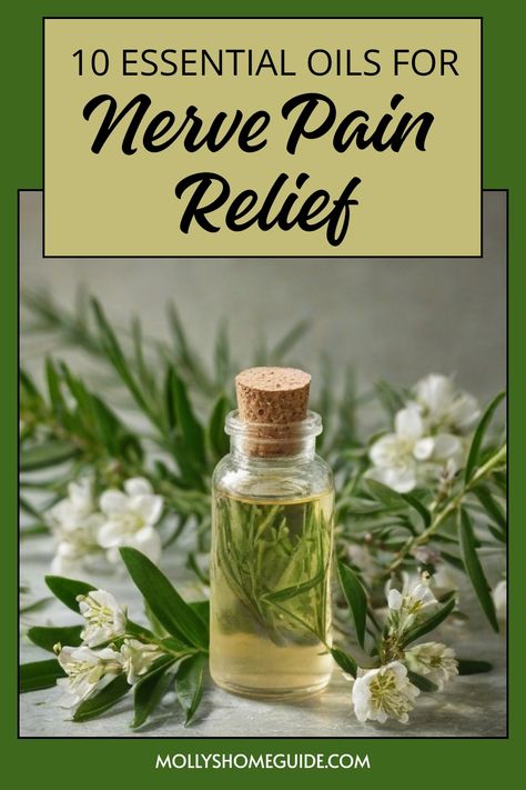 Discover the power of essential oils for nerve pain relief with these natural remedies. Whether you're looking to ease sciatic nerve pain or find relief from neuropathy, these effective essential oil blends can help. Try using Helichrysum, Lavender, Peppermint, Eucalyptus, Rosemary, Ginger, Chamomile, Frankincense or Cypress oil to alleviate discomfort. Explore natural pain relief essential oil recipes to create your own soothing blends at home. Sciatic Nerve Pain Relief Remedies, Essential Oils For Nerve Damage, Sciatic Nerve Pain Relief Essential Oils, Herbs For Nerve Damage, Pudendal Nerve Pain Relief, Muscle Relaxer Essential Oil, Essential Oils For Nerve Pain Relief, Essential Oil For Pain Relief, Nerve Pain Essential Oils