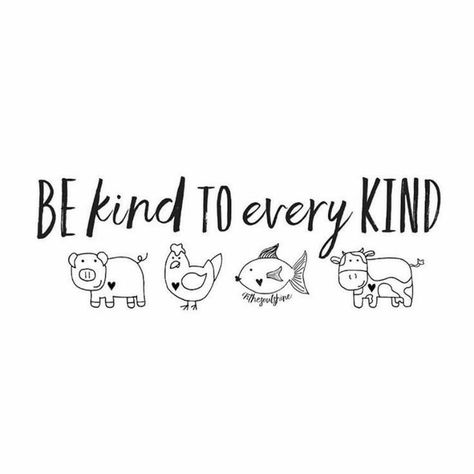 Be Kind to Every Kind! #vegan #crueltyfree #veganlifestyle -  Be Kind to Every Kind! #vegan #crueltyfree #veganlifestyle Vegetarian Quotes, Vegan Facts, Vegan Vibes, Vegan Memes, Vegan Quotes, Animal Liberation, Why Vegan, Vegan Inspiration, Vegan Living