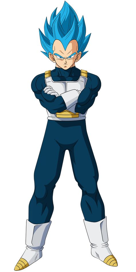 Super Saiyan Green, Blue Vegeta, Goku Super Saiyan God, Vegeta Super Saiyan, Ball Character, Super Vegeta, Broly Movie, Super Saiyan God, Super Saiyan Blue