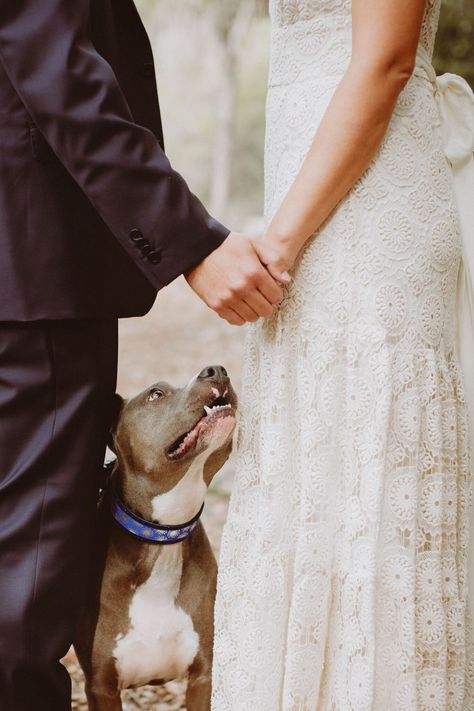 Wedding Shoes Green, Dog Wedding Photos, Engagement Planning, Dogs In Weddings, Dogs Wedding, Pet Outfits, Wedding Dogs, Animal Wedding, Photojournalistic Wedding Photography