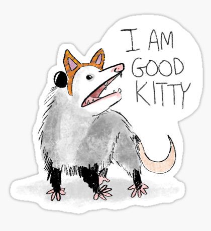 "I AM GOOD KITTY" Design Sticker I Am Good, Awesome Possum, Design Sticker, Cat Stickers, Animal Art, Funny Animals, Art Reference, Cool Art, I Am Awesome