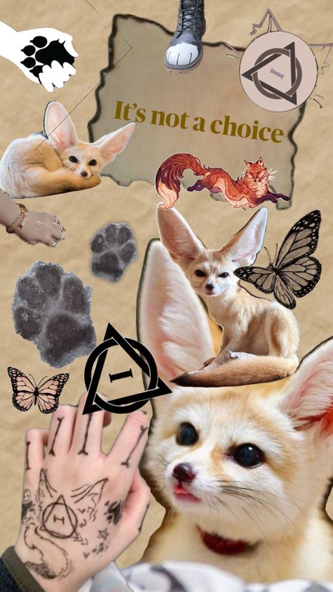 Fennic Fox wallpaper therians Fennec Fox Therian, Fox Wallpaper Aesthetic, Therian Wallpaper, Fox Therian, Fox Wallpaper, Fox Pictures, Fennec Fox, Maybe In Another Life, Cat Mask