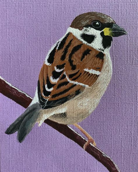 Rachel Jamieson on Instagram: “Little tree sparrow #painting #paint #gouache #gouachepaint #gouachepainting #himigouachepaint #himigouache #bird #birdsofinstagram…” Sparrow Painting, Paint Gouache, Tree Sparrow, Manga Hair, Sparrow Bird, Gouache Painting, Birds Painting, Drawing For Kids, Art Sketches