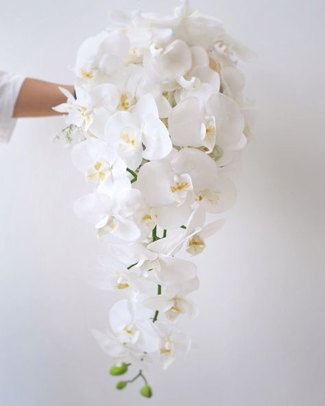 @lemongrasswedding shared a photo on Instagram: “cascading white orchid～” • Aug 12, 2020 at 10:42am UTC Cascading White Orchid Bridal Bouquet, Orchid Cascade Wedding Bouquet, Cascade Orchid Bouquet, Orchid Waterfall Bouquet, Cascading Orchid Wedding Bouquet, White Orchid Bouquet Wedding, Waterfall Bouquet Wedding, Waterfall Bridal Bouquet, Bridal Bouquet Orchids