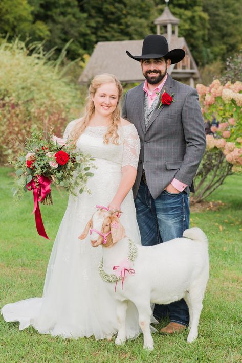 Goat Wedding Wedding With Goats, Goat Wedding, Wedding Meaning, Tomato Farm, Newport Wedding, Wedding Venue Inspiration, Wedding Pets, Wedding Board, Decor Wedding