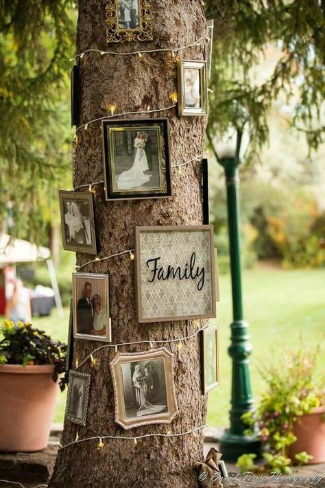 Remembrance Tree Wedding, Field Wedding Reception, Dream Wedding Decorations, Rustic Wedding Diy, Future Wedding Plans, Outdoor Wedding Decorations, Salou, Ideas Family, Forest Wedding