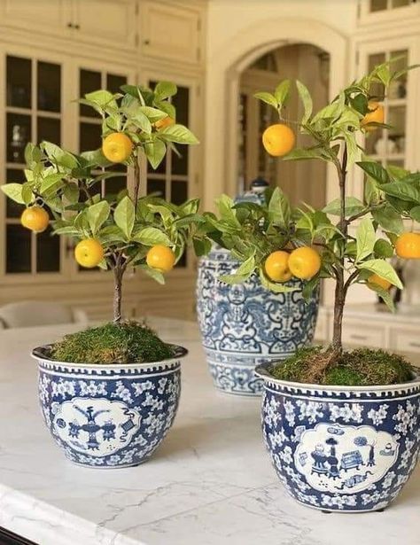 Lemon Tree Potted, Lemon Home Decor, Lemon Decorations, Lemon Kitchen Decor, Blue Hydrangea Flowers, Spring Refresh, Blue And White Chinoiserie, The Enchanted Home, Blue White Decor