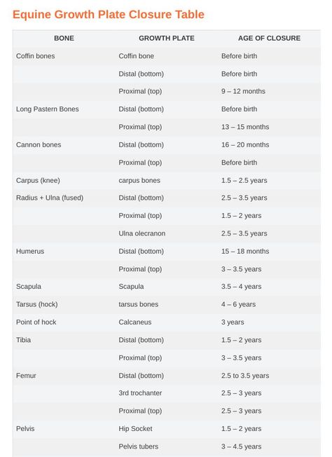 Third Month Of Pregnancy, Radius And Ulna, Types Of Bones, Healthy Horses, Drawing Conclusions, Pregnancy Months, Baby Horses, Bones And Muscles, Horse Training