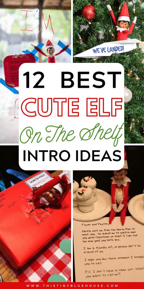 With Christmas right around the corner it's time to start thinking about dusting off your Elf on The Shelf. Make the arrival of your beloved Elf a blast with these adorable and easy elf on the shelf intros.  #elfontheshelf #elfontheshelfideas #elfontheshelfarrival #elfontheshelfintros #elfontheshelfeasy #elfontheshelfhello #elfontheshelfintros Elf In The Shelf Arrival Ideas, Elf Shelf Arrival, Elf Shelf Ideas, Elf On Shelf Letter, Elf Classroom, Kitchen Ideas Orange, Exterior Kitchen Ideas, Hello Gift, Orange Garland Christmas