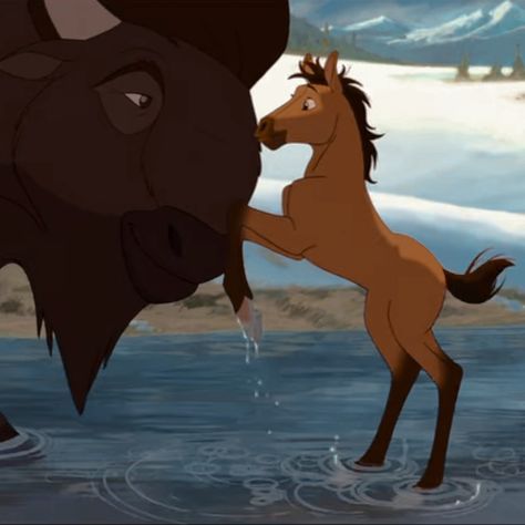 Spirit Movie, Spirit Stallion Of The Cimarron, Spirit Stallion, The Horse, Water