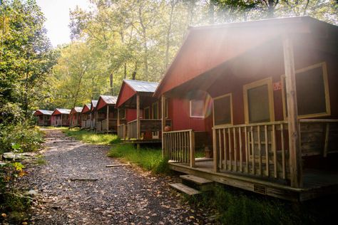 In Lower Camp there are 24 cabins, two of which are fully accessible. Each cabin has ten beds for campers and one counselor bed. In Upper Camp there are 10 cabins. Each cabin has eight beds and one counselor bed. All cabins in both Lower and Upper Camps have one toilet and two sinks each; the two fully accessible cabins are also equipped with showers. Two shower houses service Upper Camp and one main shower house services Lower Camp. All shower facilities have hot water available. Summer Camp Cabins, Summer Camp Cabin, Camp Cabin, Vintage Cabin, Rustic Retreat, Cabin Camping, Lake Cabins, Bunk House, Number 5