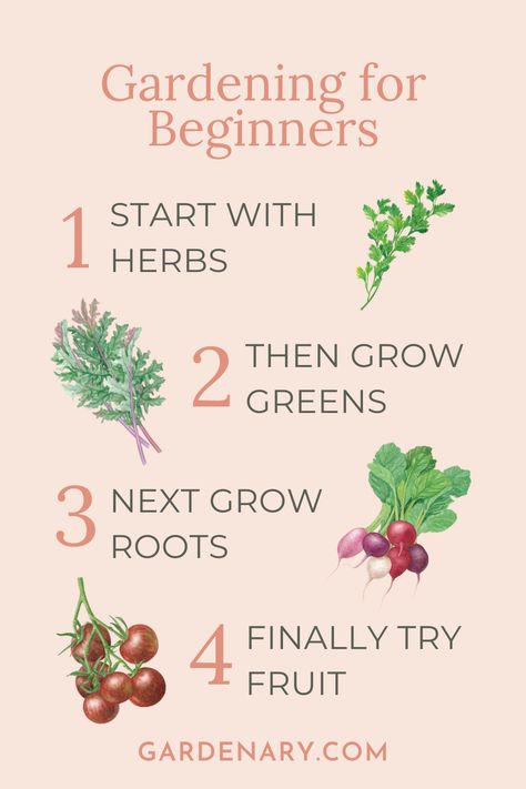 If you're a beginner gardener, the easiest way to get started learning how to garden is by following these four steps. Learn To Garden, Small Beginner Garden, Garden For Beginners Vegetable, Home Steading For Beginners, How To Start A Garden For Beginners, Basic Homesteading, Starting A Garden For Beginners, Homesteading For Beginners, Allotment Ideas