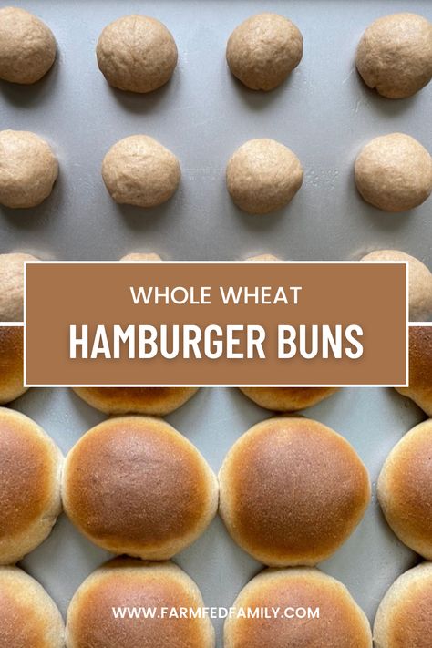 Whole Grain Buns, Fresh Milled Hamburger Buns, Homemade Whole Wheat Buns, Whole Wheat Hamburger Buns, Whole Wheat Hamburger Buns Bread Machine, Whole Wheat Hamburger Bun Recipe, Whole Wheat Hot Dog Buns, Hamburger Bun Recipe, Flour Alternatives