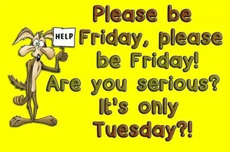 Please be Friday, please be friday! Are you serious? It's only Tuesday?! tuesday tuesday quotes tuesday pictures tuesday images please be friday wheres friday Friday Quotes Funny, Tuesday Quotes, Tuesday Humor, Weekday Quotes, Monday Humor, Weekend Quotes, Funny Good Morning Quotes, Morning Quotes Funny, Are You Serious