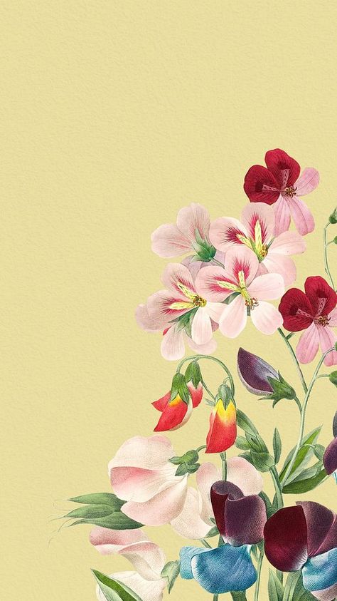 Floral phone wallpaper, vintage sweet pea illustration by Pierre Joseph Redouté. Remixed by rawpixel. | premium image by rawpixel.com Sweet Pea Illustration, Pea Illustration, Phone Wallpaper Vintage, Summer Lockscreen, Floral Phone Wallpaper, Soft Flowers, Wallpaper Summer, Wallpaper Vintage, Background Banner