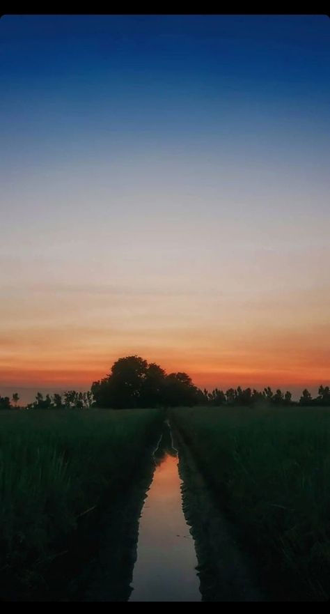 Indian Orange Aesthetic, Land Of Five Rivers Punjab, Punjab Pind Aesthetic, Punjab Aesthetic Wallpaper, Indian Aestethic, Punjab Wallpaper, Punjab Aesthetic, Pakistan Aesthetic, Punjab Culture