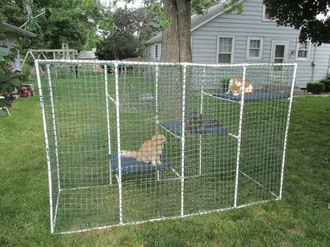 Diy Cat Enclosure, Diy Chat, Cat Fence, Cat Patio, Cat Cage, Cat Run, Outdoor Cat Enclosure, Diy Dresser Makeover, Dog Pen