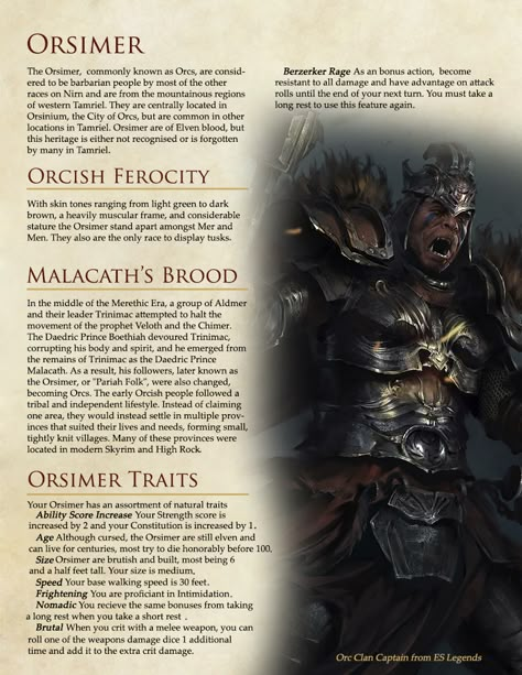 Skyrim Dnd, Skyrim Races, Skyrim Lore, Skyrim Concept Art, Homebrew Races, 5e Races, Elder Scrolls Races, Elder Scrolls Lore, Evelynn League Of Legends