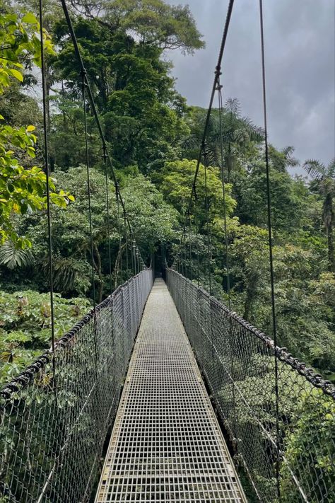 San Carlos Costa Rica, Hanging Bridge, Spanish Projects, Rope Bridge, Tropical Tree, Monteverde, Bridge Design, Brooklyn Bridge, Railroad Tracks