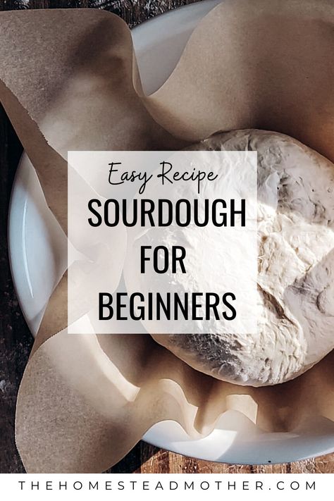 This no-knead recipe is perfect for any beginner. With just three ingredients you will be baking your own artisan sourdough loaves right in your own kitchen. #Sourdough #sourdoughbread #breadrecipes #sourdoughrecipe Beginner Sourdough Bread, Bread Recipe For Beginners, Beginner Sourdough, Artisan Sourdough, Simple Sourdough, Easy Sourdough Bread Recipe, Recipe For Beginners, Chewy Bread, Bread Sourdough