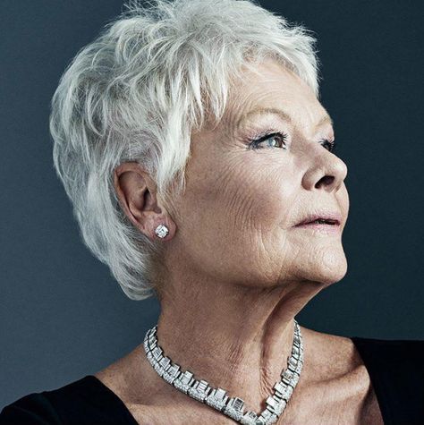 A Daily Dose of our beloved Dame Judi Dench in Pictures. Judy Dench Hair, Facial Reference, Judy Dench, Judi Dench, Grey Hair Styles For Women, Sophia Loren, Aging Gracefully, Interesting Faces, Famous Faces