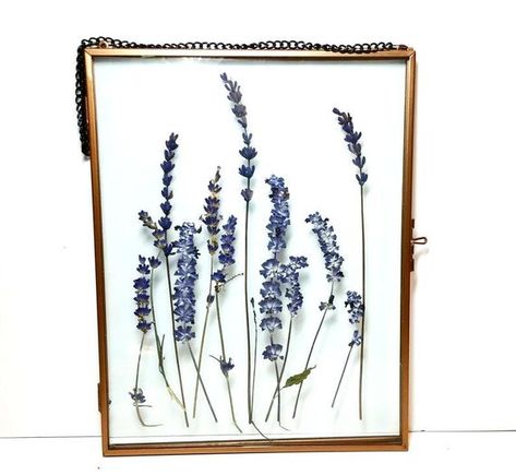 Hey, I found this really awesome Etsy listing at https://www.etsy.com/listing/638853525/dried-lavender-art-gift-for-mom-pressed Grandmas Flowers, Frame Dried Flowers, Pressed Flowers Frame, Fern Flower, Flowers Lavender, Dorm Walls, Dried And Pressed Flowers, Lavender Flower, Work Spaces