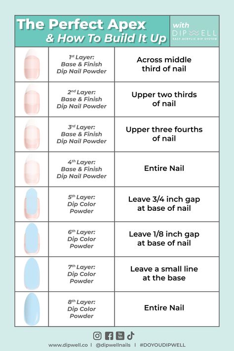 How to Build an Apex With Dip Powder | DipWell Apex For Nails, Nail Dip With Tips, Apex Method Dip Nails, Easy Dip Powder Nail Ideas, Dip Powder Nails With Tips, Revel Nail Dip Powder Ideas, Apex Nails, Cosmetology Business, Nail Anatomy