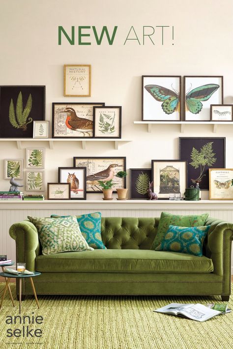 Owl Wall Art, Focal Wall, Annie Selke, Green Furniture, Art Furniture, Ideas Home, Decoration Design, Home Decorating, Home Interior