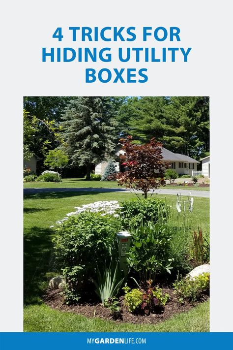 Plants To Cover Utility Boxes, Landscape To Hide Utility Boxes, Hiding Transformer Box In Yard, Landscape Around Utility Boxes, Utility Box Landscaping, Hide Electrical Box In Yard, Landscaping Around Utility Boxes, Hide Utility Box In Yard, Landscaping To Hide Utility Boxes