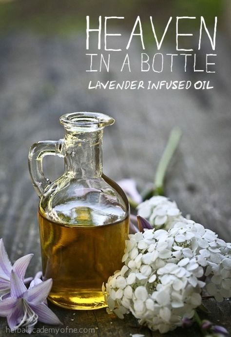 Infused Oil Recipes, Herbal Academy, Skin Rashes, Infused Oil, Herbal Recipes, Gift Making, Herbal Healing, Scrub Recipe, Bug Bites