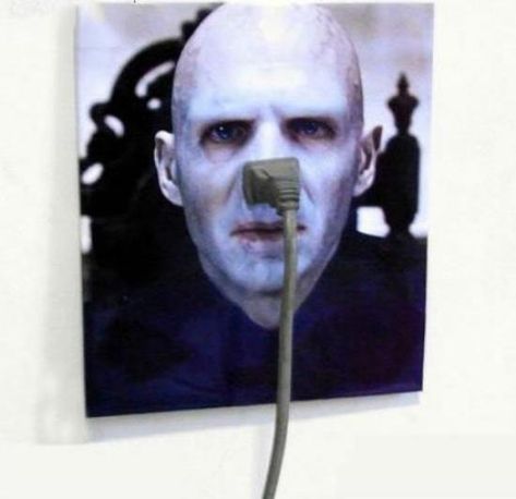 Embedded Voldemort Meme, Harry Potter Headcannons, Lord Voldemort, Harry Potter Jokes, Harry Potter World, Art Memes, Funny Tweets, Funny Art, Percy Jackson