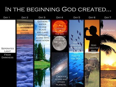 Days of Creation Genesis Creation, 7 Days Of Creation, Church Design Architecture, Lion Of Judah Jesus, Godly Play, In The Beginning God, Bible Study Printables, Days Of Creation, Happy Sabbath