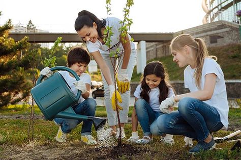 Community Service Ideas, Natures Path, Farmers Almanac, Planting Trees, Old Farmers Almanac, Arbour Day, New Roots, Yard Work, Fall Plants