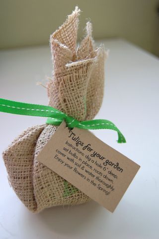 Wedding favors! Tulip and Daffodil in burlap bags Classic Wedding Favors, Tulip Wedding, Inexpensive Wedding Favors, Seed Wedding Favors, Creative Wedding Gifts, Burlap Bags, Tulip Bulbs, Wedding Favors Cheap, Eco Friendly Wedding