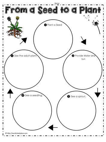 Teaching Plants, Speaking Activities English, How Plants Grow, Plants Worksheets, Speaking Activities, Teacher Tips, Printable Books, Parts Of A Plant, Google Apps