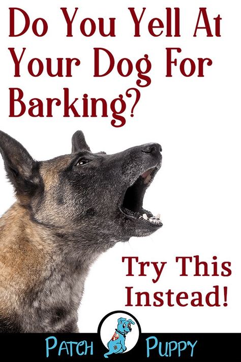 Pet Recipes, Stop Dog Barking, Barking Dog, Dog Training Advice, Dog Brain, Dog Training Techniques, Best Dog Training, Aggressive Dog, Train Your Dog