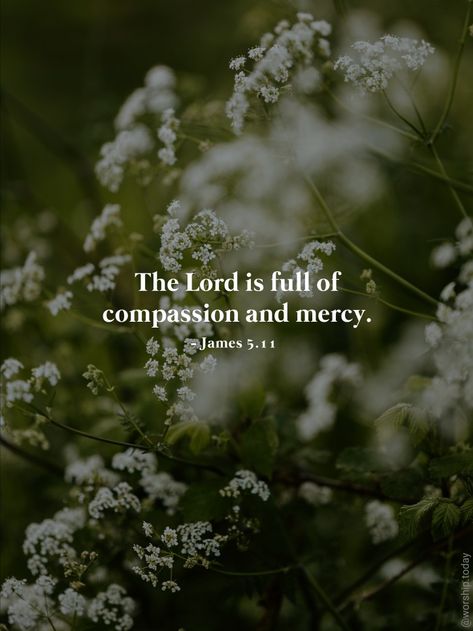 God Is Merciful Quotes, New Testament Quotes, Jesus Love Quotes, Compassion Quotes, James 5, Bible Quotes Wallpaper, Jesus Love, Christian Bible Quotes, Prayer Verses