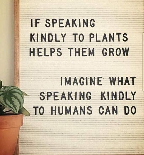 If speaking kindly to plants helps them grow, imagine what speaking kindly to humans can do Positive Meme, Positive Memes, Plants Quotes, Profound Quotes, Speak Life, A Sign, The Words, Great Quotes, Inspirational Words