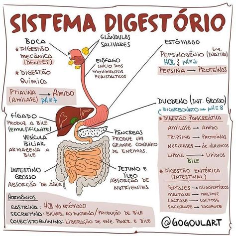 Nutrition Poster, Medicine Notes, Medical School Studying, Medical School Essentials, University Studying, Future Nurse, Study Help, Bullet Journal School, Good Student