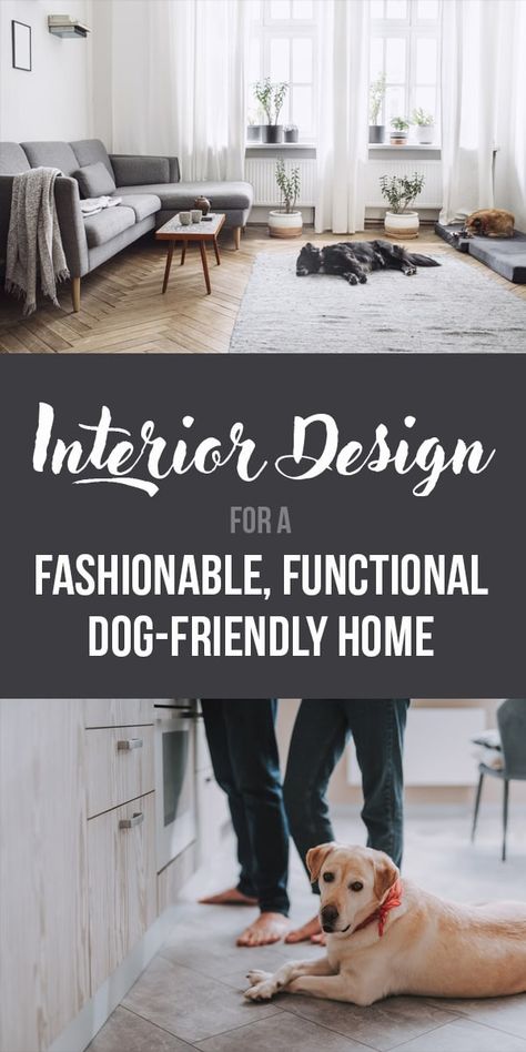 3 Interior Design Tips for a Fashionable, Functional Dog-Friendly Home - The Dogington Post 2 Desk Office, Dog Apartment Living, Top Loader Laundry Room, Pet Friendly Living Room, Dog Friendly Furniture, Farm Hacks, Apartment Dogs, Living With Dogs, Dog Spaces