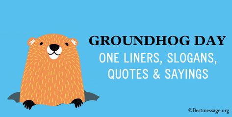 Groundhog Day One Liners Quotes Groundhog Day Quote, Groundhog Quotes, Groundhog Day Quotes, Groundhog Day Funny, Groundhog Day Movie, Lunchbox Jokes, Happy Groundhog Day, One Liners, Letter Boards