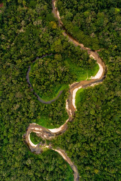 Travel to Colombia's Amazon rainforest offers a mesmerizing tapestry of lush landscapes, teeming wildlife, and vibrant indigenous cultures waiting to be discovered. #Colombia #AmazonRainforest #DiscoverSouthAmerica #KuodaTravel Colombia Culture, Colombia Travel, Indigenous Culture, Amazon Rainforest, South America, Lush, Tapestry, Water, Travel