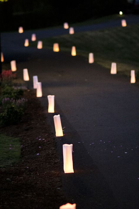 fill white paper bags with sand and one tea candle and let it light your way! Paper Bag Candles, White Glow Sticks, Luminaries Paper Bag, Candle Path, Rapunzel Quince, Paper Bag Lanterns, Wedding Rice, Halloween Disco, Floor Lanterns