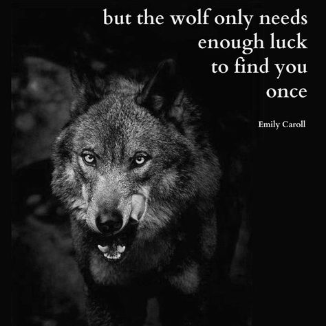 "…and you must be lucky to avoid the wolf every time…but the wolf only needs enough luck to find you ONCE.” Emily Carroll The Wolf Only Needs To Find You Once, Emily Carroll, Wolf Quotes, Wolf Love, The Wolf, Find You, You Must, Love Quotes, Finding Yourself