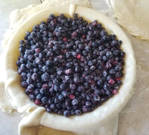 Saskatoon Pie, Pies Blueberry, Saskatoon Recipes, Saskatoon Berry Recipe, Saskatoon Berry Pie, Berry Pie Filling, Berry Pie Recipe, Blueberry Pie Recipe, Saskatoon Berry