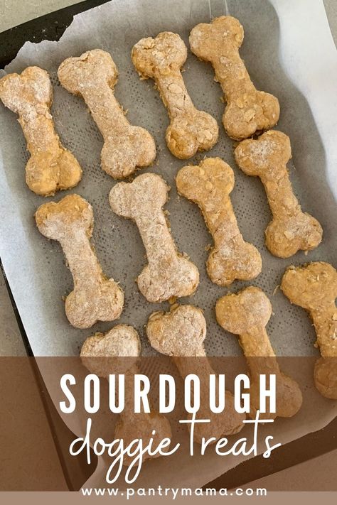 Sourdough dog treats are the perfect way to safely share the sourdough love with your pooch while using excess sourdough starter. Sourdough Food Ideas, Large Sourdough Discard Recipes, Farm Stand Recipes, Beginner Sourdough Discard Recipes, Sourdough Active Starter Recipes, Sourdough Christmas Recipes, Sweet Sourdough Recipes, Sourdough Dinner Recipes, Discard Recipes Easy