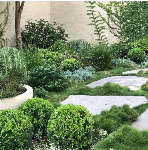 Love the use of Zoysia tenuifolia by Garden Society. Zoysia Tenuifolia, Plant Tiles, Verge Garden, Tiles Australia, Planting Palette, Zoysia Grass, Australian Garden Design, Hill Garden, Courtyard Ideas