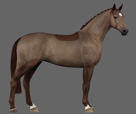 HORSE CLIPS Sims 4 Horse Mod, Sims 4 Horse Saddle Cc, Horses Sims 4, Sims 3 Equestrian Cc, Sims 3 Horse Mods, Sims Pets, Horse Clipping, Star Stable, Sims 4 Expansions