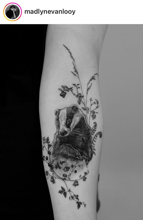 Badger Tattoo Simple, Fox And Badger Tattoo, Fox And Daisy Tattoo, Fox Tattoo With Flowers, Jd Tattoo, Honey Badger Tattoo, Squirrel Tattoo With Flowers, Fox And Flowers Tattoo, Badger Tattoo