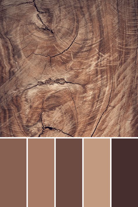 Wood Tone Color Palette, Oak Colour Palette, Wood Colors Palette, Sandstone Color Palette, Wood Color Pallete, Rustic Color Pallete, Natural Wood Color Palette, Angel Ties, Dark Wood Color Palette